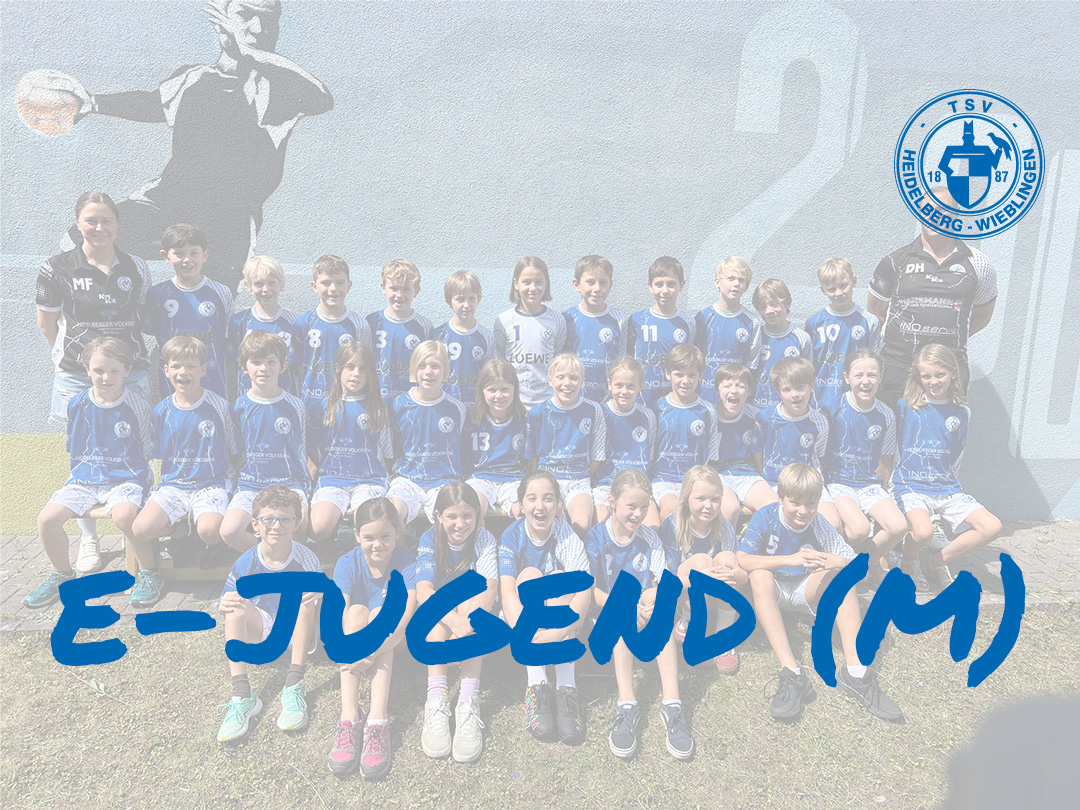 tsv wieblingen handball e-jugend_m
