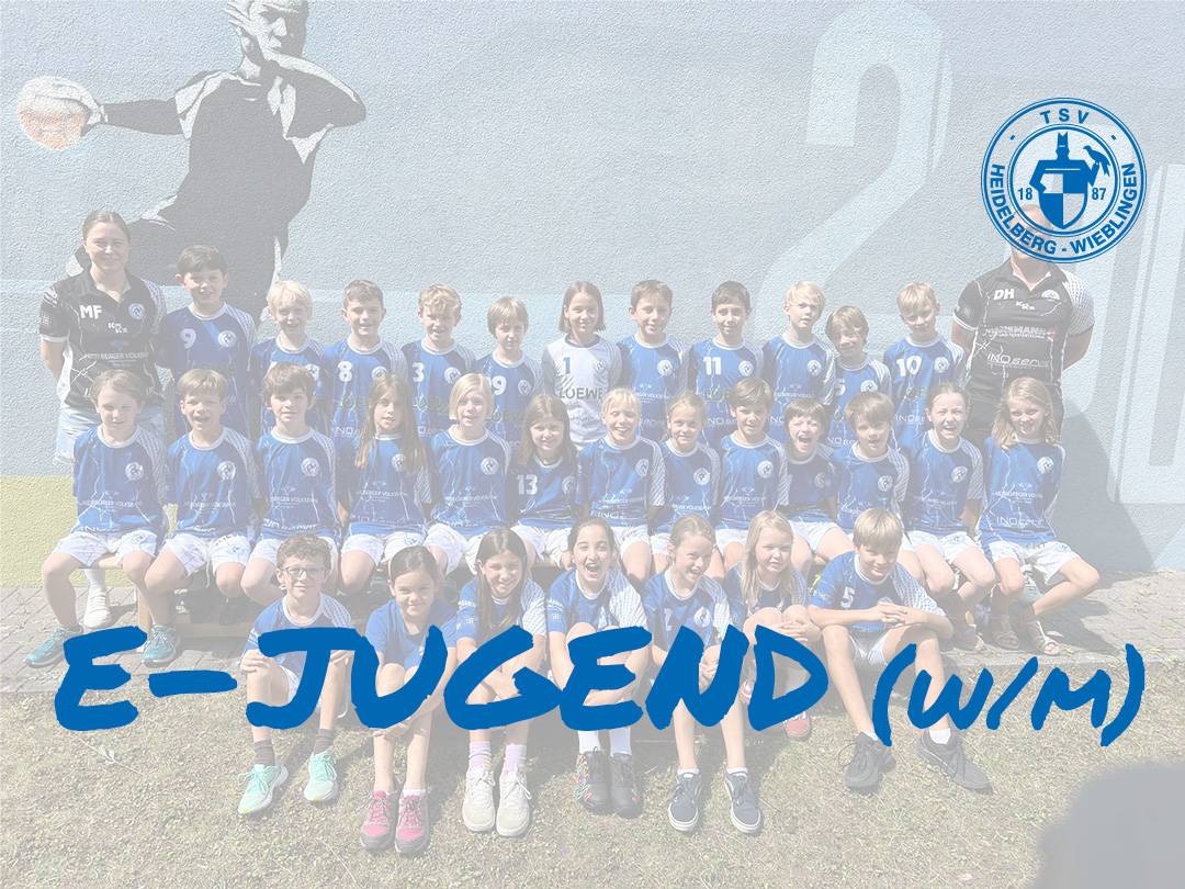tsv wieblingen handball e-jugend_wm