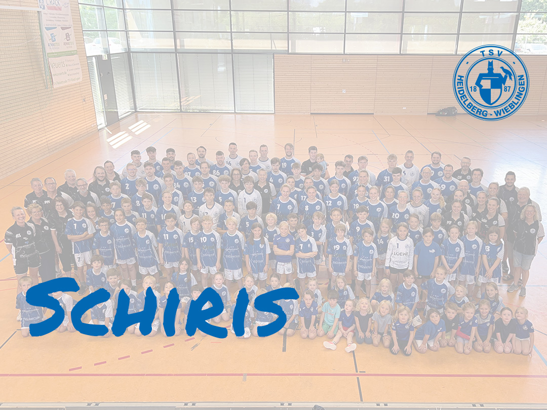 tsv wieblingen handball e-jugend_wm